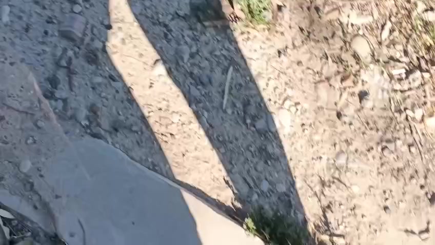 سلام عليكم بريجو للبيع 96بسمي سنويه لل 30تحويل ثاني يوم تخم تاير حداديه صدر جديد باور جديد مشط جديد شرط ترايك للبصره مكينه خير من الله وكير واكسل كله مكفول والكشر شوفت عينك نعمه من الله السعر 48وبيهاا مجال للسفسار ***********مكاني شهربان مصفره هيه وغرامات
