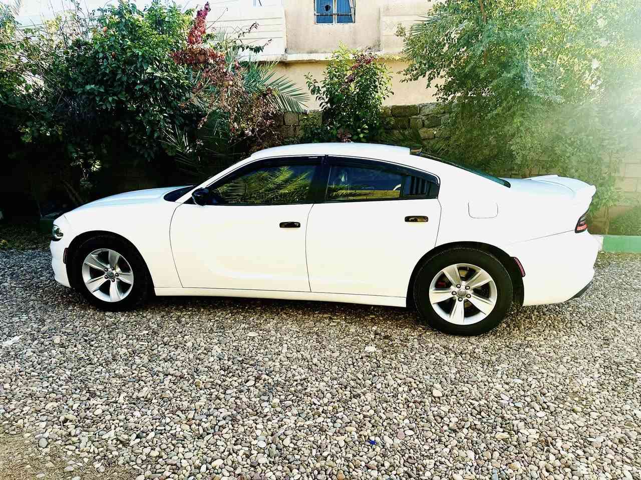 #للبيع ..
جارجر 2015 وارد أمريكي مواصفات SXT 
* بصمة تشغيل و بصمتين أبواب
* تشغيل عن بعد
* كشنات مخمل و كشن السايق كهرباء
* لايتات زنون
* تحكم ستيرن جهتين
* مثبت سرعة
* شاشة كبيرة أندرويد
* أضائة كاملة فول LED
* حساسات خلفية
* كاميره دوارة
* تبريد خلفي 
* شواحن خلفية 
*سستم كماليات كامل خارج وداخل 

السيارة كلين مكفولة من الحادث والتبديل محرك 6سلندر 3600 رقم اربيل بأسمي شرط التحويل ماشية 114 الف ميل محرك وكير شرط وما مشتغلة خط سيارة نظيفة السعر 210 وبيه مجال  

الأتصال *********** _
