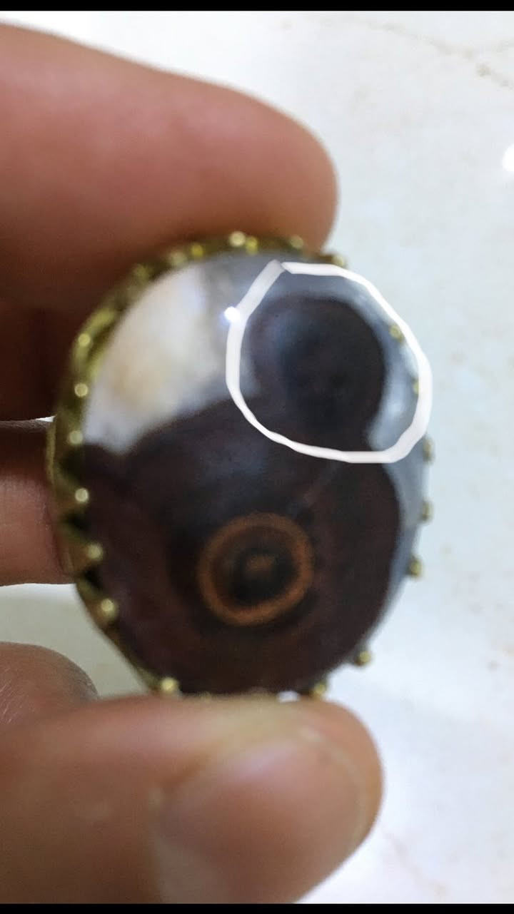تحفه من نوادر داودي عطف ومصور قديم وصياغه سبع معادن


**إذا كنت صاحب هذا الإعلان وتريد حذفه لأي سبب، رجاءا أرسل رسالة إلى الدعم الفني**