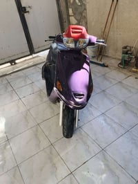 دراجة فراشة • فحل • بصرة أبو الخصيب