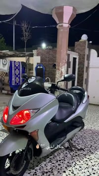 فورزا • جاهزة • الكوت