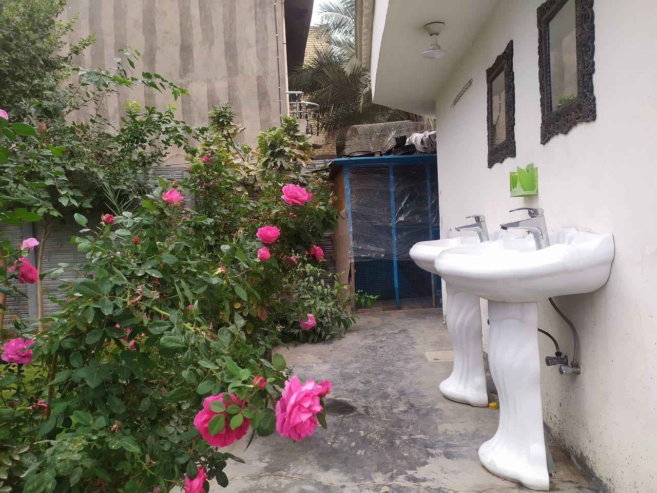 للبيع مع الاثاث ارض  طابو زراعي مساحه١٠٠٠ متر سند ٢٥  مشيد عليها ثلاث دور بناء درجه اولى (دارين) بناء سنة ٢٠٢٥/٢٠٢٤ والدار الثالث بناء جهاز (سندويج بنل)
قرب  المحكمه. الجديده ومطاعم الجمجمه  يقع سنترعلى الشارع العام المؤدي إلى المنتجع السياحي لمدينة بابل الاثريه 
مضيف ٤.٥ م × ١٥ م
استقبال ٤ م × ١٤م
غرفة نوم  عدد ٣
مطبخ كبير  حار   بارد
مجمع صحيات عدد٢
حديقه  اماميه  كبيره تحتوي على أشجار حمضيات وفسائل نخيل مكتومي وبربن
كراج ٢٥ م ×٤ م 
طارمه ١٥ م×٨ م
الدار مجهز  منظومة كاميرات مراقبه + تلفون ارضي داخلي
الطابق الثانى مصمم كخارطه مجهزه بالمجاري والماء والكهرباء  للأستفسار الاتصال على تلفون مالك الدار   ***********
