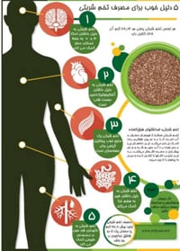 تخم شربتي • إيرانية • كربلاء