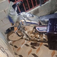 ستوته • موديل 2011 • بدون أوراق