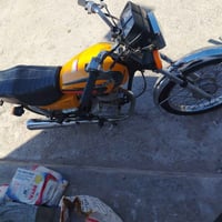 إيراني • بدون أوراق • تفيلس خشن