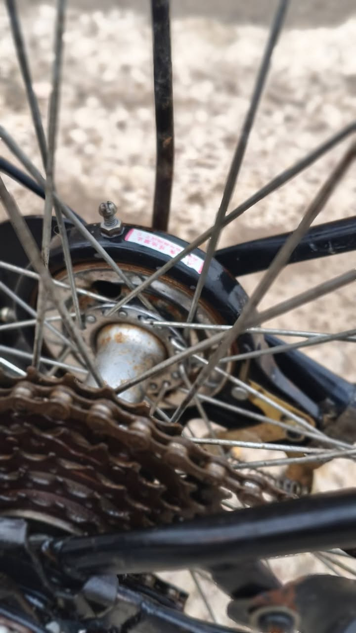 السلام عليكم عندي بايسكل حجم 26 البايسكل امانه الله جديد ونظيف حيل يعني مو شلون مكانن بي طخه بالويل الخلفي ودائره مال زنجار صغيره كلش يعني اي صبغ تتكحل وبي كير ست سرعة وتجي ويا  كاسحه السعر مالته 85 وبي مجال للشراي بسيط الشراي يجي خاص


**إذا كنت صاحب هذا الإعلان وتريد حذفه لأي سبب، رجاءا أرسل رسالة إلى الدعم الفني**