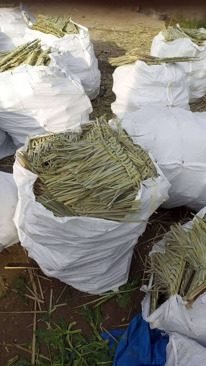 إخوان السلام عليكم عندي كمية مكانس
كل شليف عدد ١٠٠ قطعه. سعر الشليف ٢٥ ألف. 
العدد الكلي عشرين شليف.   إخوان ابيع شلع قلع 
ع ربع دينار وتوصيل مجاني للاستفسار ***********
