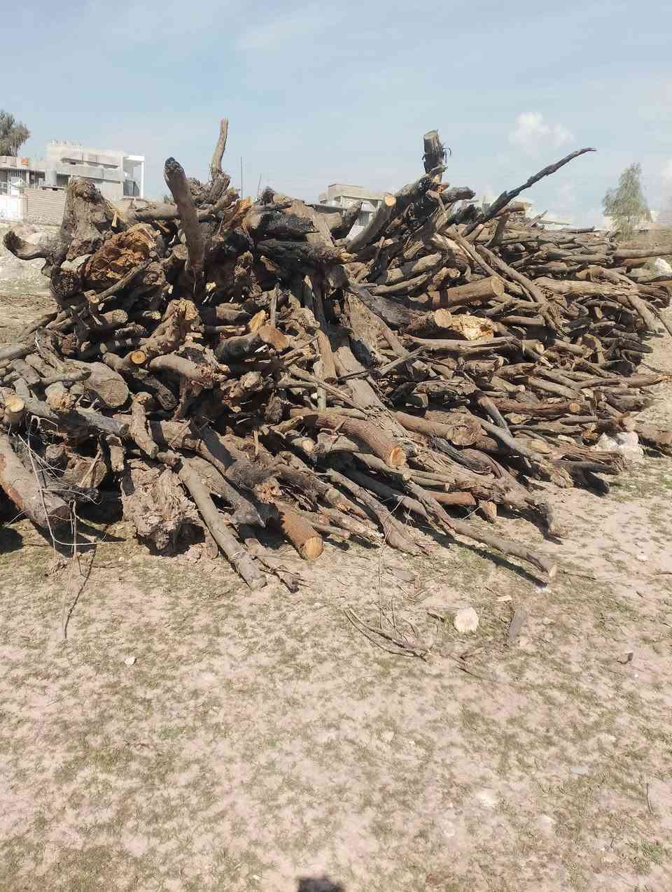 خشب للبيع طول الكوم سته متر وارتفاع مترين الي ياخذ كوم اوجبو يطلع بي ٣كيات ***********
