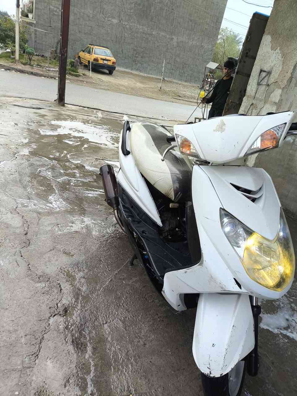 السلام عليكم سكنس فحل للبيع دراجه كلج رياضي امامي صالنه رياضيه دراجه نكرر سلف سعرر 650 وبيه مجال 
رقم ***********
