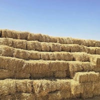كبسات تبن • قرب مفرق الكفل • العمود ٣٧٤