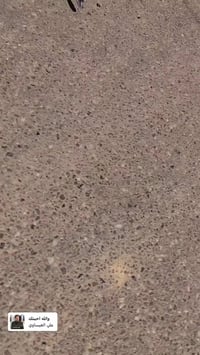 ماكس عدله دراجه بوشه 55 بلاد طيران ما تنكض بيهة تزويد كله اصلي صدر قزم...