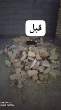 لي محتاج عمال تنظيف البيوت والحدائق وصطوح من الانقاض موجود اني اشتغل  ...