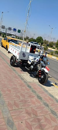 موديل ١٤ • أوراق كاملة • الناصرية