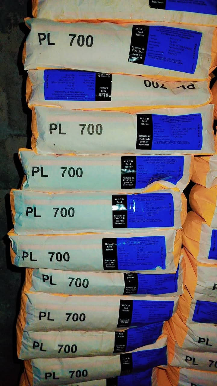 على بركة الله تجهيز بذور الذرة الصفراء للعروه الربيعيه صنف pL700 بتاريخ 2/12/للموسم الحالي البيع جمله مفرد للتواصل  *********** كركوك حويجه
