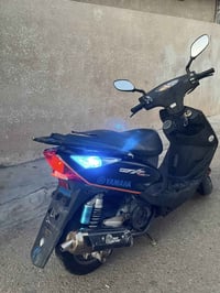 ثعلب • ناعمه • بيها مجال