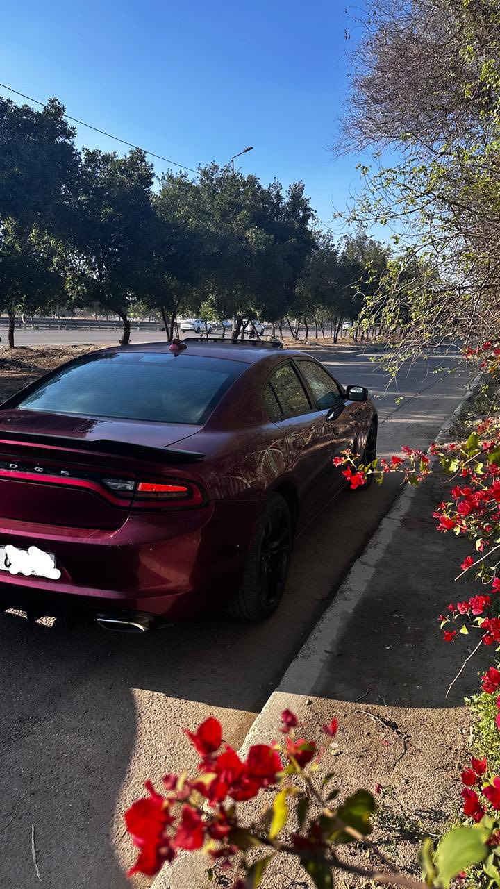 السلام عليكم 
جارجر 2017 اصلها 
معلاية 2023
 حجم المحرك ٣٦٠٠  تو ويل 
فول مواصفات sxt plus
السيارة مصبوغة عام اثر طخات 
كير محرك مكفولات 
رقم بغداد باسمي 
للاتصال:- *********** 
العنوان :- بغداد/ الكرخ
السعر :—.    130$

المواصفات :-   
فتحة كشنات كهرباء  شفتات 
كير طيارة ،شاشةجبيرة  ،تشغيل عن بعد ، ، بصمة ،
 ، تبريد قطعتين ، حساسات خلفية ، كاميرا خلفية ،  
وباقي المواصفات معروفة  .
