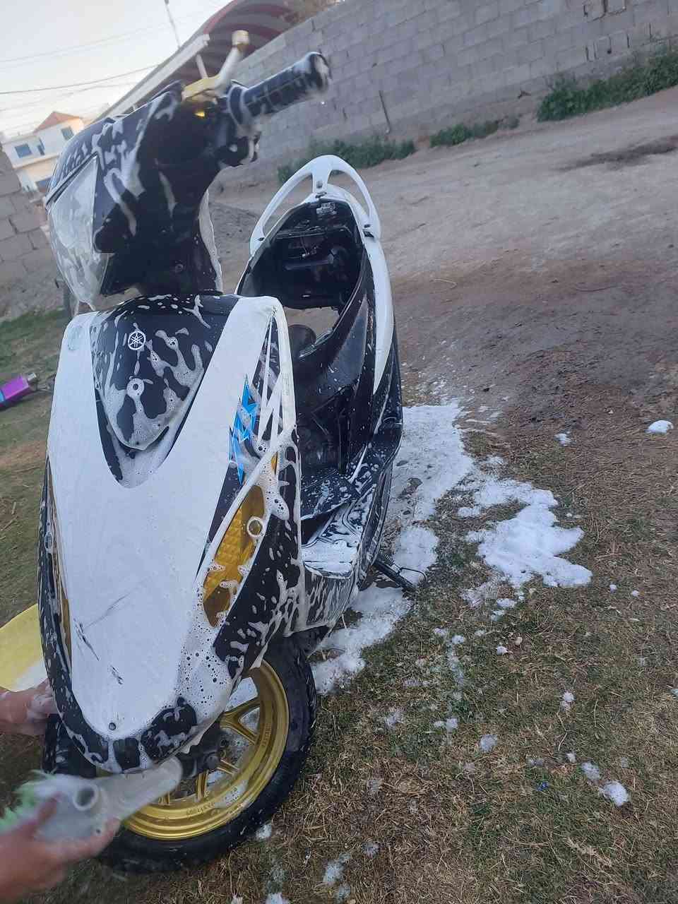 للبيع او مراوس بوشه 49
***********
