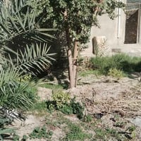 الشعلة الدوانم • ٣٠٠م • بناء ١٥٠م