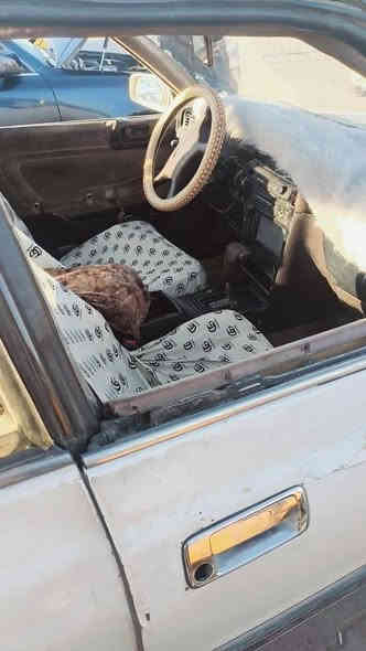 من رخصة مدير الكروب 

سيارة مارك عظم موديل 91 رقم انكليزي بأسمي مداور ثاني يوم السعر 27 بي مجال قليل مكينة 2500 VVTاللون ابيض لؤلؤي

 للستفسار اتصل ع الرقم 

***********

الرقم بي واتساب

مكلف بالنشر
