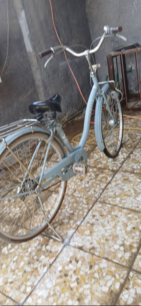 سلام عليكم عندي باسكل ياباني بناتي حجمه 26 سعر 85 صور خاص.    للاستفسار الاتصال  *********** مكان بغداد شهداء البياع
