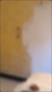 #من_رخصت_الامدير_الكروب  سلام عليكم  اني خلفه صبغ  شغلي درجه اوله وسعا...