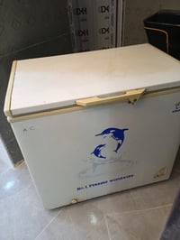 مجمدة • فريزر