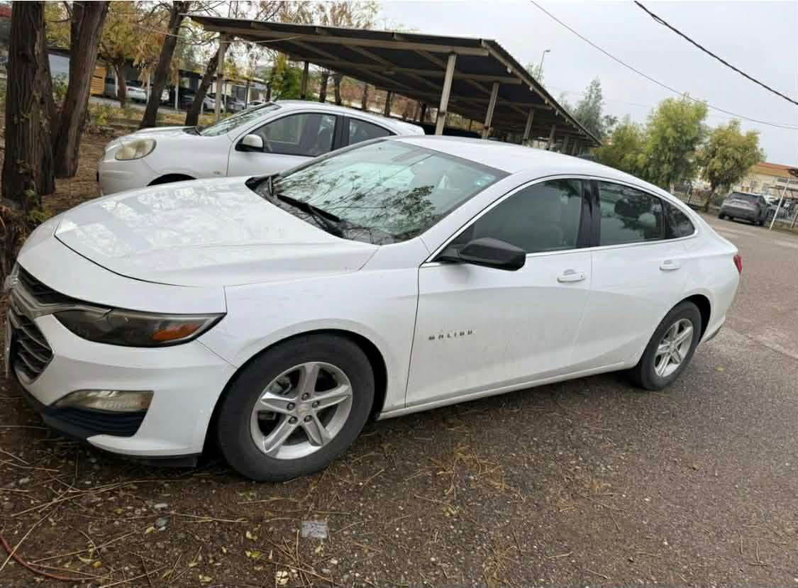 كوردی/عربی

بسم الله الرحمن الرحيم
سيارة ماليبو
موديل ٢٠١٩
محرك ١٥ توربو قليل مسروف
السيارة بها ثلاثة قطع بيلا ارباگ
مواسةفات LT
ماشیە 88,000 کیلۆمتر 
سعر ٩٨ ورقة و بيها مجال
للمزيد من المعلومات، يرجى الاتصال على الأرقام التالية
0️⃣7️⃣5️⃣0️⃣ 2️⃣5️⃣1️⃣ 2️⃣4️⃣ 8️⃣4️⃣
0️⃣7️⃣5️⃣0️⃣ 3️⃣9️⃣1️⃣ 6️⃣4️⃣ 3️⃣7️⃣

1G1ZB5ST2KF118954 رقم شاصي

بەناوی خودای گەورە 
شۆفەلێت مالیبۆ 
مۆدێل ٢٠١٩
مەكینە ١٥ كەم مەسرەف
سەیارەكە سێ پارچەی سبوغە 
ئێرباگ نەتەقیوە
مواسەفاات LT
نرخ ٩٨ وەرەقەو مەجال
بۆزانیاری زیاتر پەیوەندی بكەن بەو ژمارانەوە
0️⃣7️⃣5️⃣0️⃣2️⃣5️⃣1️⃣2️⃣4️⃣8️⃣4️⃣
0️⃣7️⃣5️⃣0️⃣3️⃣9️⃣1️⃣6️⃣4️⃣3️⃣7️⃣ أربيل, العراق


**إذا كنت صاحب هذا الإعلان وتريد حذفه لأي سبب، رجاءا أرسل رسالة إلى الدعم الفني**