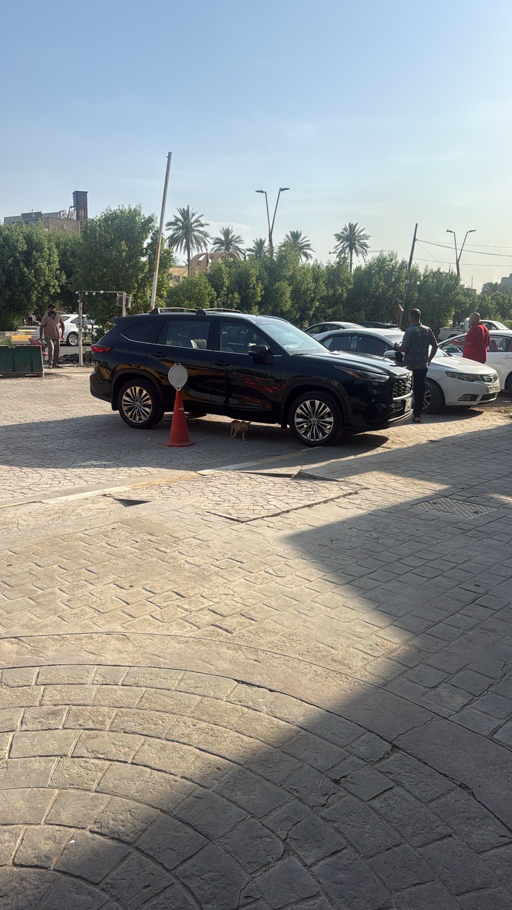 هايلندر البيع 
الاستفسار 
***********