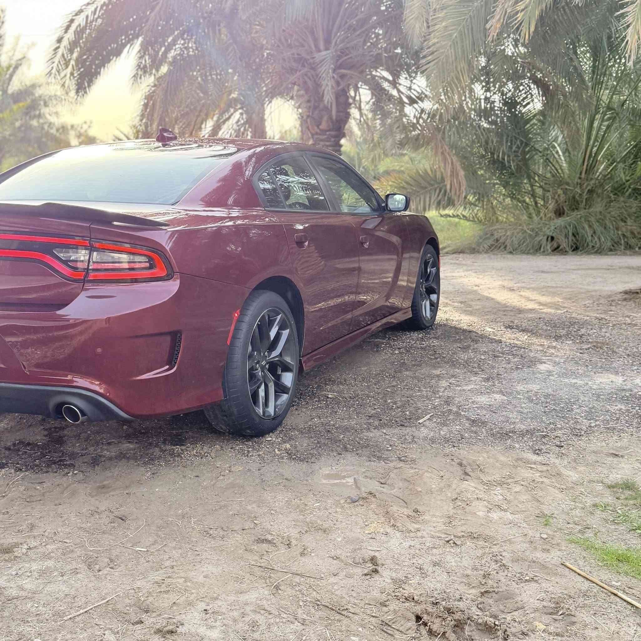 جالجر امريكي 2023اصل GT 
 بدون رقم تترقم جميع المحافظات
صور الحادث موجوده حادث خفيف بدون  شاصي 
موصفات السياره 
بصمه 
كشن كهرباء 
شاشه جبيره
كامره خلفيه
حساسات خلفيه
هيترات بل مري 
ورادار جانبي
شفتات رياضيه 
تحكم استرين جهتين 
بيهه نضام sport
ونضام super track pak
تبريد منفصل 
تشغيل عن بعد
ويل الجبير حجم 20

السعر 248$ وبيه مجال 
العنوان الرميثه 

‭0781 428 1342‬
