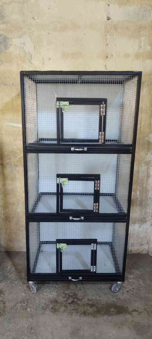 السلام عليكم متوفر 3 اقفاص للبيع بسعر مناسب
قفص بلابل حب 
قفص غندورة او ببغاء
قفص خانات طيور
العنوان بعقوبة
يوجود توصيل ديالى فقط 
***********
الي يحب راسلني او يتصل بل خدمة
