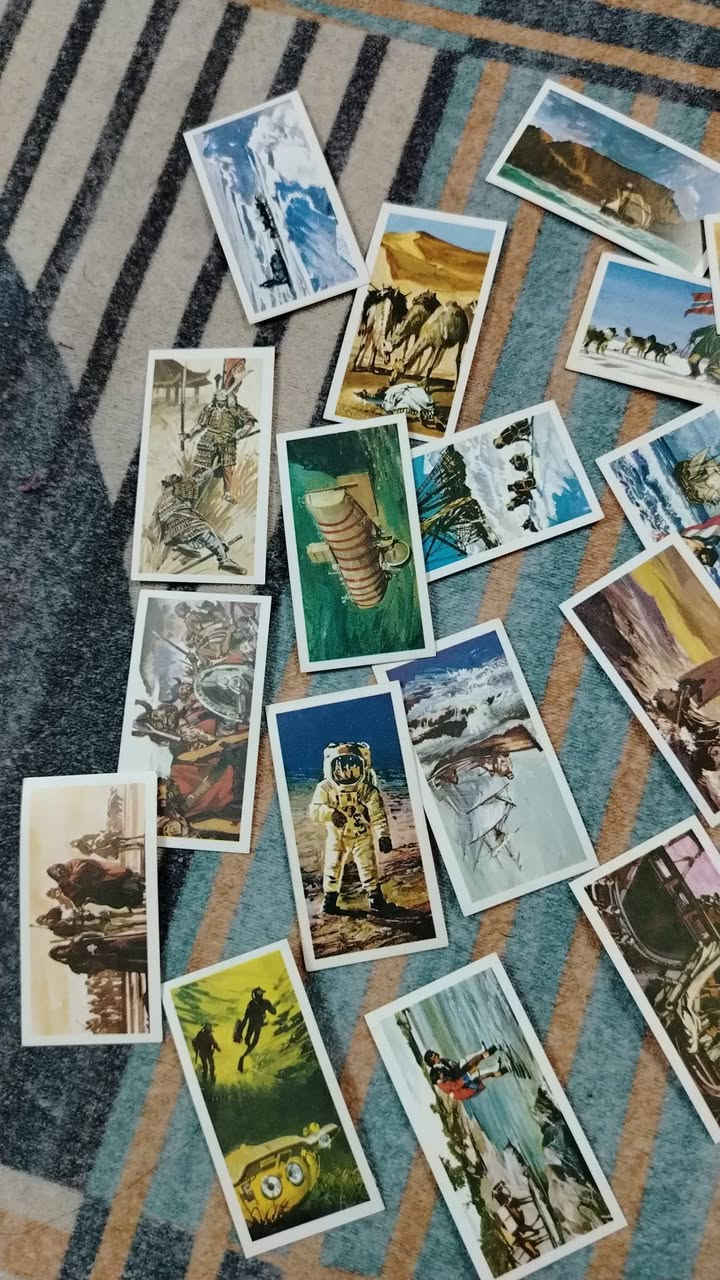 24 كارت سفن و
و31 كارت منوع اصغر بقليل من سفن 
الكل بسعر 7 الف فقط


**إذا كنت صاحب هذا الإعلان وتريد حذفه لأي سبب، رجاءا أرسل رسالة إلى الدعم الفني**