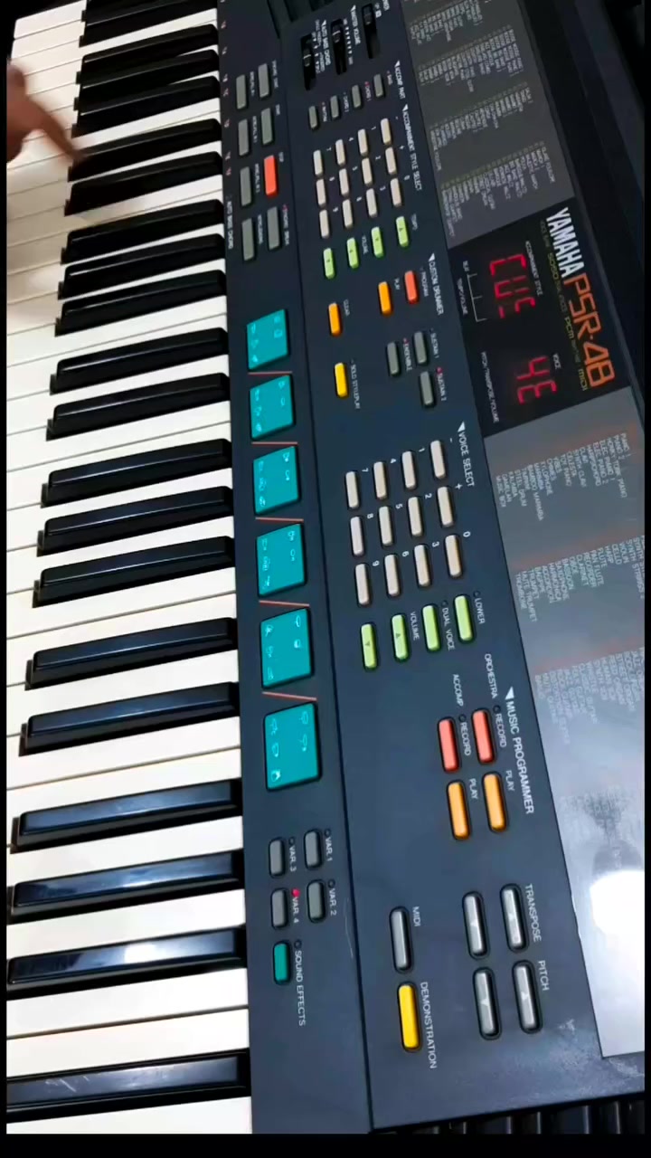 للبيع أوركَن YAMAHA PSR48 يبرمج ايقاع واحد الجهاز نظيف جدا .


**إذا كنت صاحب هذا الإعلان وتريد حذفه لأي سبب، رجاءا أرسل رسالة إلى الدعم الفني**