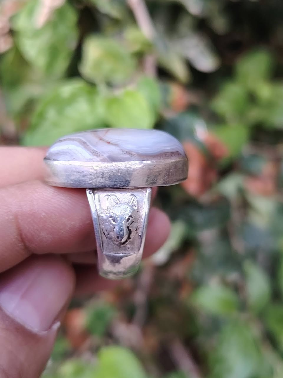 سليماني رصاصي لون يسر الناظر المهتم يتفضل خاص ويدلل


**إذا كنت صاحب هذا الإعلان وتريد حذفه لأي سبب، رجاءا أرسل رسالة إلى الدعم الفني**