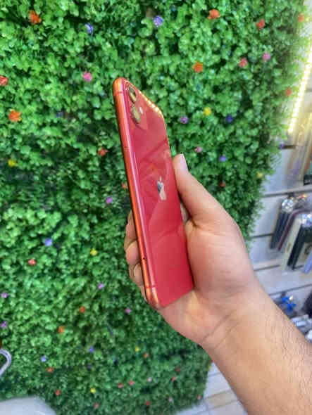 ايفون 11عادي 128 بطاريه 100 بلاديه كلش نضيف وكفاله
جهاز فقط مايقرا شريحه يعني سيم كارت ميشتغل فقط 

تواصل اجتماعي كله شغال بصمه شغاله ضمان اي خلل بلجهاز عندك ضمان من المحل مكفول من فتح وصيانه

السعر 175 الف قفل مكان المحل بغداد شارع حيفا قرب مقها بيروتي مقابل نادي الزوراء الرياضي اسم محل بربرو فون

*********** واتساب فقط
***********اتصال
