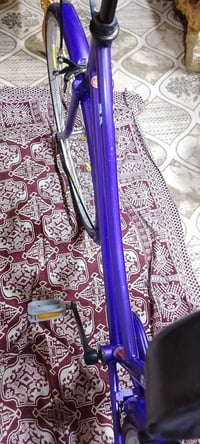 باسكل • نضيف ٩٠/١٠٠ • موديل ٢٠