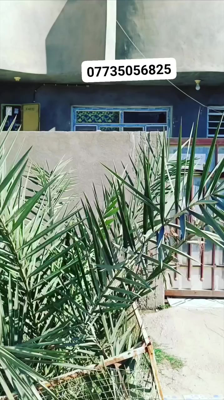 السلام عليكم
يعلن مكتب الليث للعقار والمقاولات العامه عن وجود مشتمل للبيع للبيع في حي الأطباء 

 موقعه كلش ممتاز 

للاستفسار مراسله الصفحه ***********
