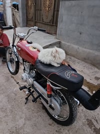 دراجة سيجي • كفالة ٢٠٢٥ • خان بني سعد