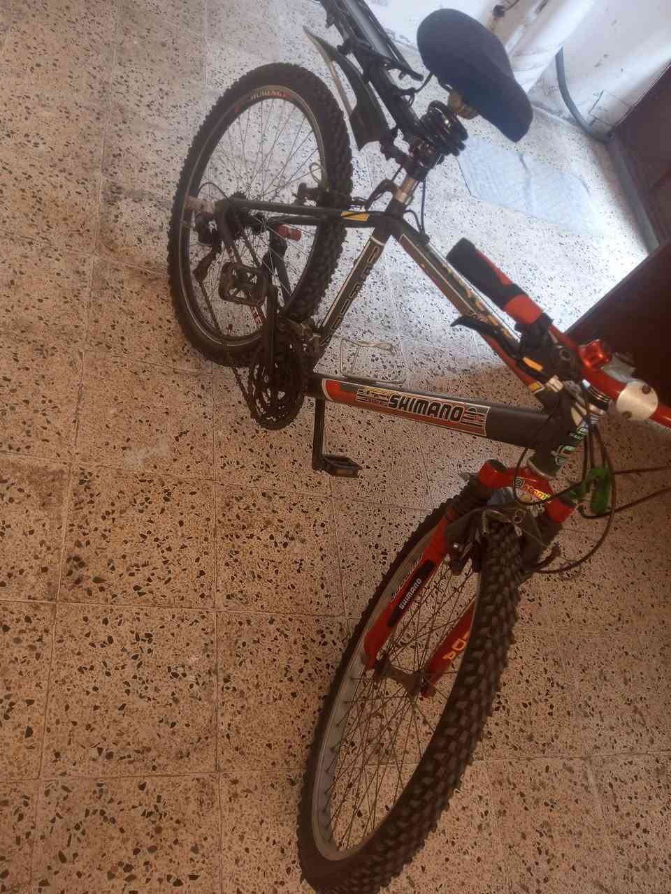 جبلي ياباني باله 
استفسار خاص


**إذا كنت صاحب هذا الإعلان وتريد حذفه لأي سبب، رجاءا أرسل رسالة إلى الدعم الفني**