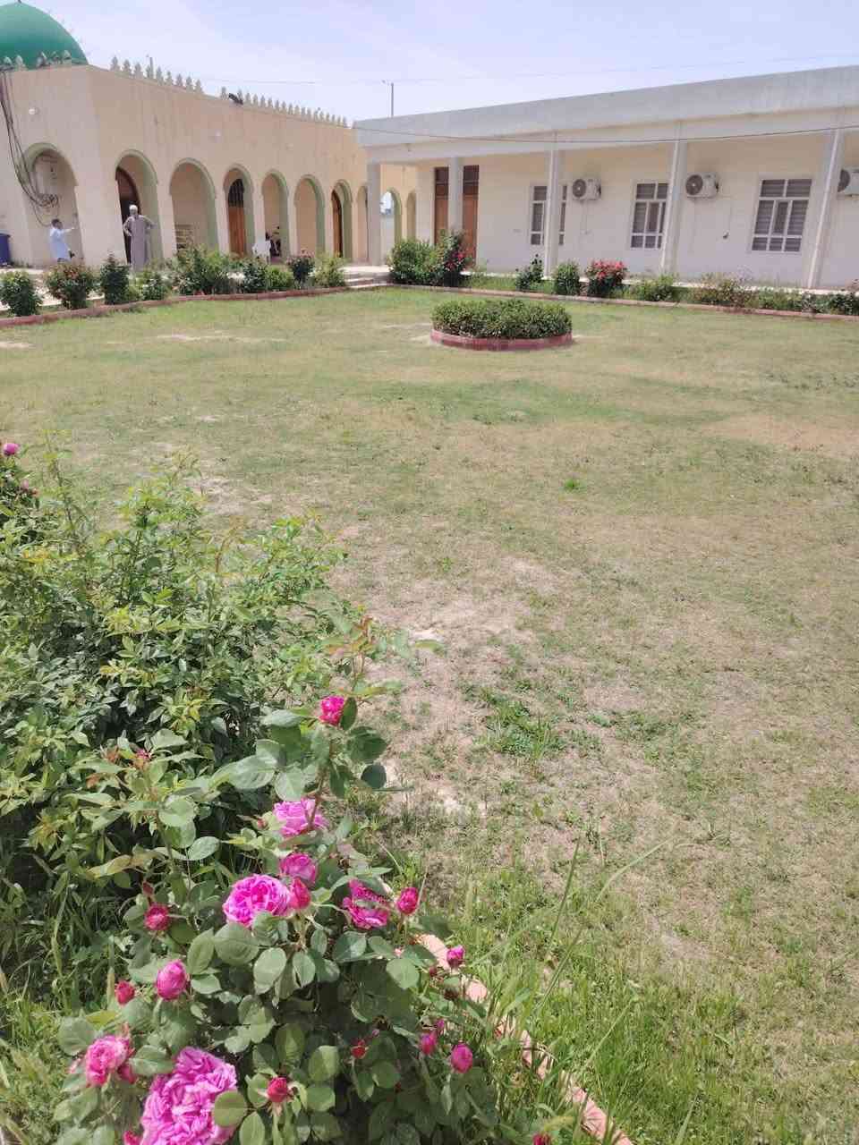 من رخصة الادمن
اعمل جميع ترتيب و زراعة الحدائق و رصف لاينات
وشبكة مرشات مخفيه للحدائق  ***********متوفر وتساب ومن الله التوفيق
