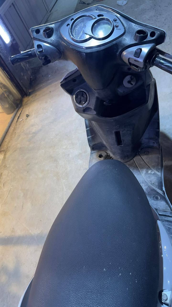 السلام عليكم سكنس فحل للبيع اي نقص مابيهه مكاني الحريه السعر 750وبيهه مجال رقمي ***********
