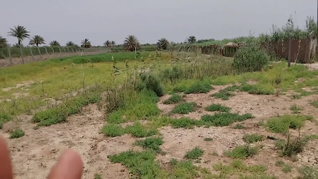يالله على بركة يعلن مكتب العرداوي لتجارة العقار عن عروض بيع وشراء الدوانم والقطع الزراعيه..... 

عرضنه لهذه اليوم دونمين زراعيات جميع الخدمات متوفره من ماء كهرباء تبليط مدارس مستوصف تبعد عن الامام 12 كيلو. 

الموقع 📍

كربلاء الابراهيمه بزل مطشر خلف المنتجعات 

للأستفسار اكثر يرجى التواصل على الارقام التاليه

***********
‏‪0776 986 7437‬‏  سيد علي العرداوي
