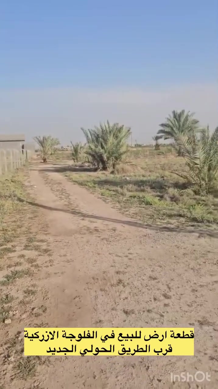 📍تسلسل:1202
🔴 قطعة ارض للبيع في الفلوجة منطقة الازركية قرب الطريق الحولي الجديد قرب سكة القطار
📍طابو زراعي 
📍شارع : ٩ م
‏‎📍مساحة  : ١٠٠٠ م٢ 
🔹وجه : ١٥م ونزال: ٦٧ م
⚪️تتوفر خدمات الماء والكهرباء 

‏‎🟨سعر البيع : ٦٥ مليون دينار قابل للتفاوض

🟢مكتب دجلة الهندسي للعقارات حي الجولان قرب صناعة الجولان للسيارات مجاور سوبر ماركت الهلال
للاستفسار  الاتصال
‏‭٠٧٥٠ ٦١٤ ٦١٩٠‬
‏‭+٩٦٤ ٧٨٢ ٩١٧ ٤٧٠٨ ‏‭
