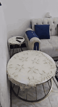 للتواصل ***********
