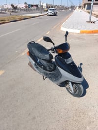 فراشة • سلف • اخرس