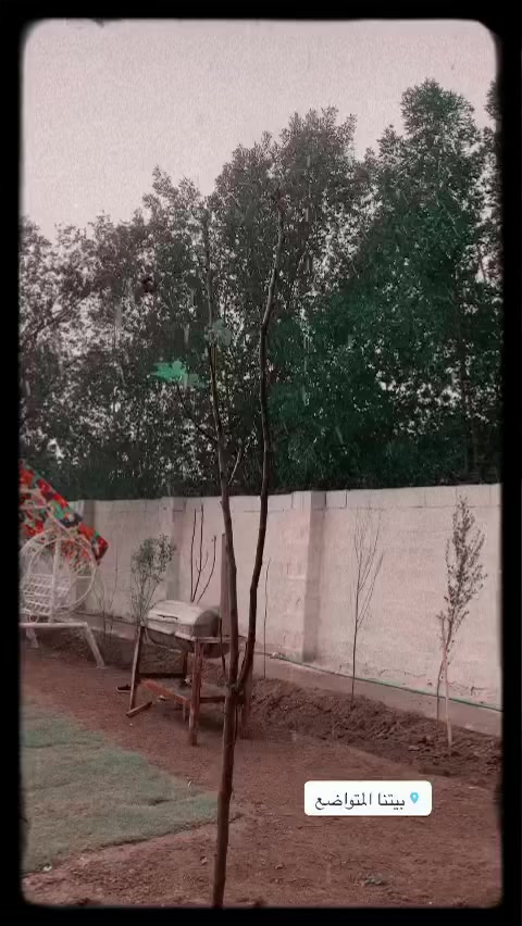 سلام عليكم من رخصة صاحب الكروب بيتين زراعي سند ٢٥ للبيع مساحة ٧٥٠ متر مثل مشوفون بل فيديوات عنوانة جسر ديالى العريفية شارع ابو مروان اعرض شارع ٦ امتار تبليط ومي وانترنيت ضوئي 
للتواصل والسعر والاستفسار اكثر 
رقم الاثير:***********
الرقم الاسيا: ***********
