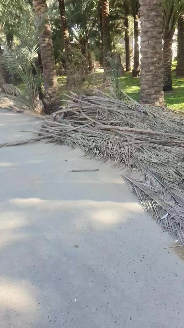 للبيع1000 متر طابوا زراعي سند٢٥ اقرار قاضي العنوان كربلاء طريق طويريج كربلاء عمود 254 خدمات كامله تنباع 100 او 200 اوشلع تصلح حسينيات للإستفسار ***********
