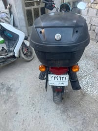 بوكسر جبلي • موديل ٢٢ • مكفولة سنة