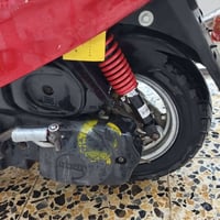 فحل فراشه • فول شلعه • نعومة ٣٠٠