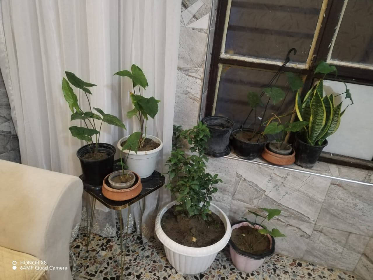 للبيع بيت  بالشعلة قطاع السابع مساحة 100 متر واجهة ٧ و٧٥ سم والنزال ١٤و نص تقريبا متر تقريبًا موقع ممتاز بالشارع الغربي داخل شارع اسواق
 علي نافورة البيت عالي عن الشارع طابق واحد مقرنص جديد مجاري جديدة محولتين كهرباء بالفرع يتكون من طرمة استقبال صالة مطبخ غرفة نوم منور حمام مشترك داخل المنور وتواليت خارجي السعر 110 قابل للتفاوض
***********
