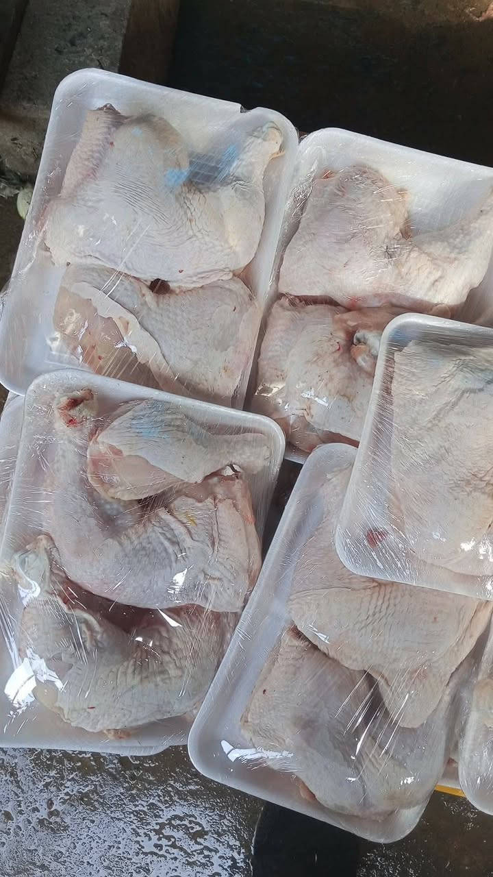 اسعار اليوم 
*********** واتس اب 

سمك ناعم 5250
سمك خشن 5750 
دجاج 3350 
افخاذ و اجنحه 5500
خبز بيت 5 بالف

متوفر المسكوف البغدادي الأصيل
الدجاج العراقي مشوي على الفحم
سمك مقلي

العنوان شارع الخدمي مجاور كرزات عمو علي
